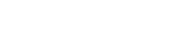 Петербургский дневник