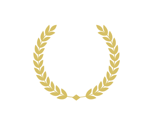 Metro — за успехи в дизайне, 2014